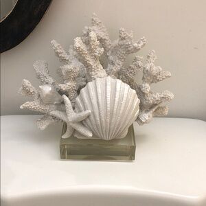 White Coastal Seashell & Coral Decorative Accent